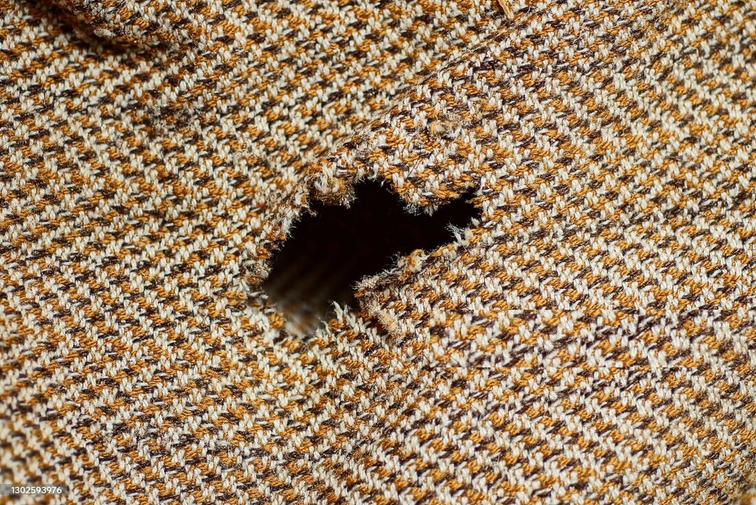 Moth Hole in Suit